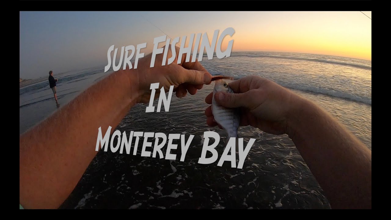 Pajaro Dunes Surf Fishing 2020
