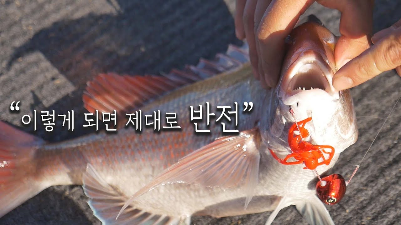 이희우 프로와 참돔 챔질의 타이밍을 잡아라! 제주권 깊은 수심에서 입질받는 방법_[THE FIELD STAFF_NS_07편]