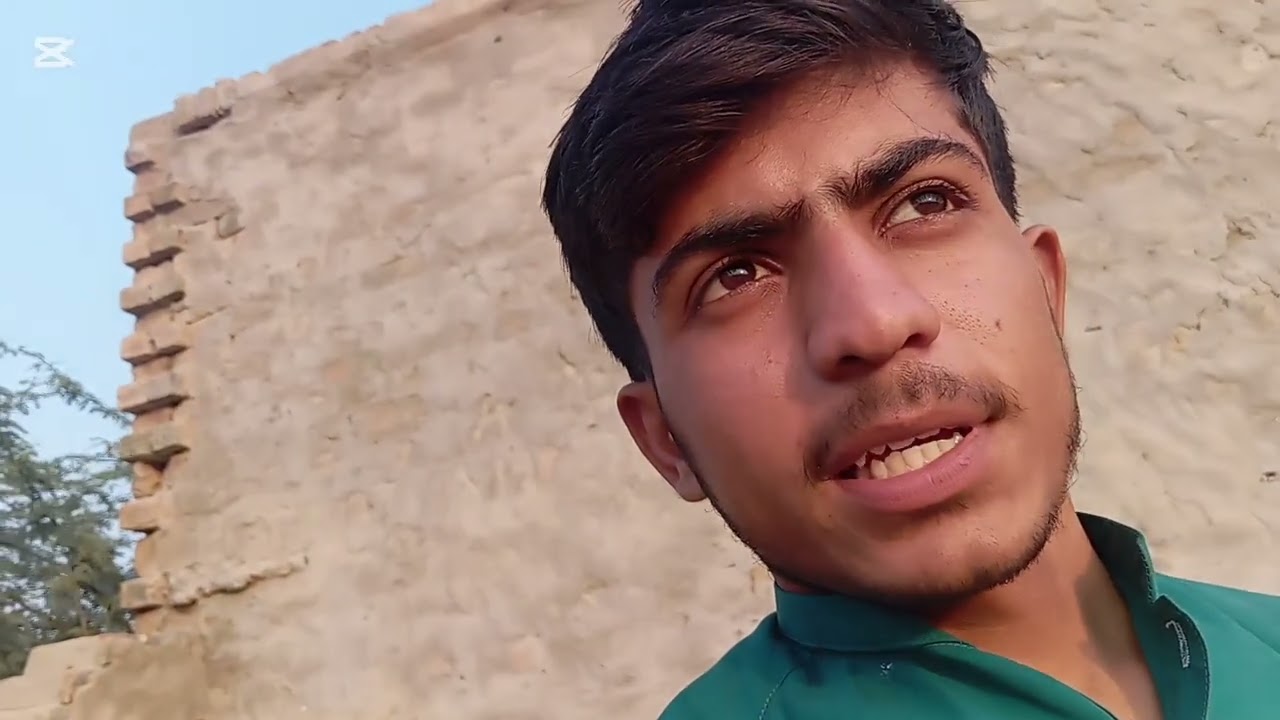 درخت لگنے کے فائدے 🌲