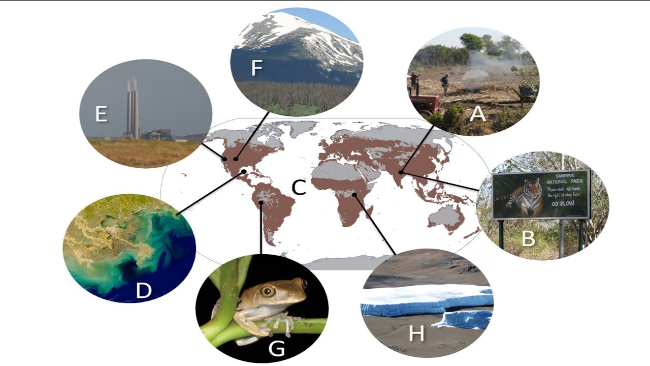 Berkeley Initiative in Global Change Biology