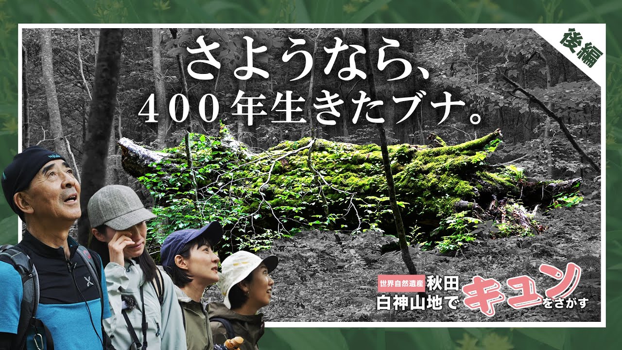 さようなら、400年生きたブナ。世界自然遺産・秋田白神山地で”キュン”を探す女子3人旅（後半）