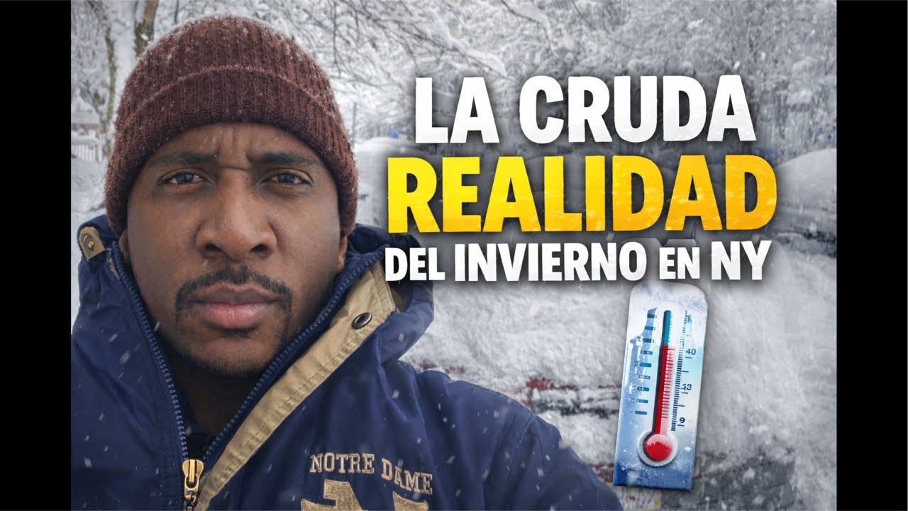 Hoy te muesto NY bajo la nieve. Se ve lindo en las fotos, pero vivir este invierno es otra historia.
