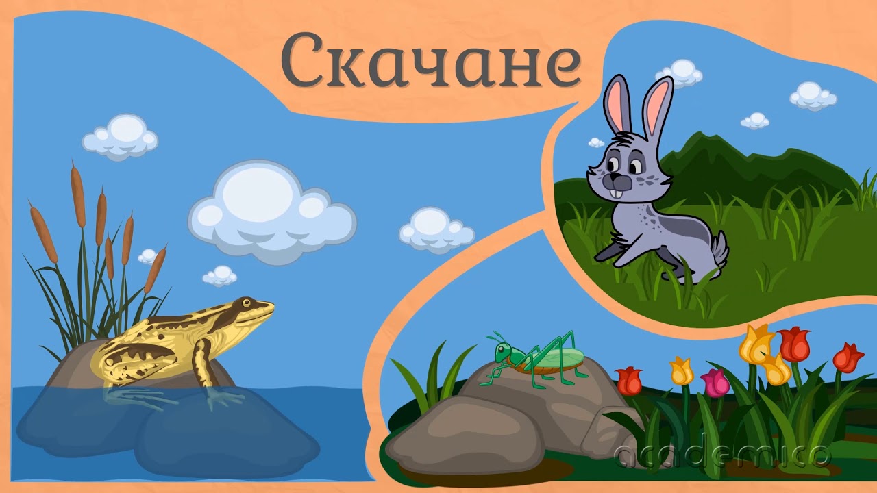 Движение на животните - Човекът и природата 3 клас | academico