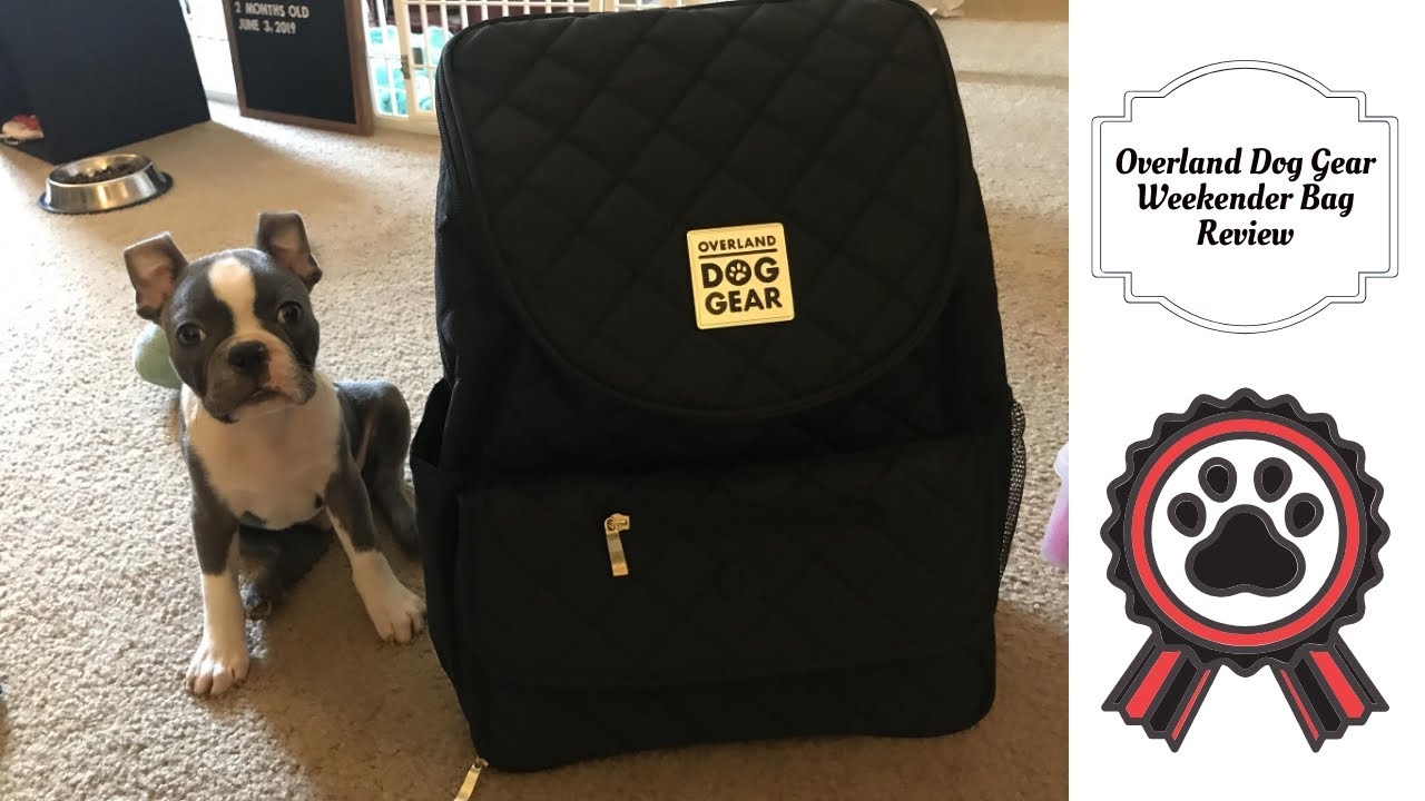 Overland Dog Gear - Weekender Bag Review