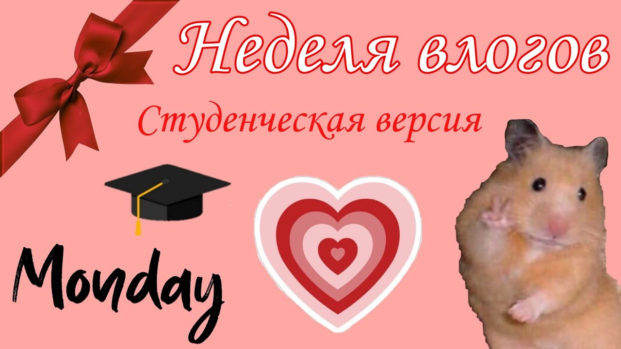 НЕДЕЛЯ ВЛОГОВ. 📖 понедельник ❤️