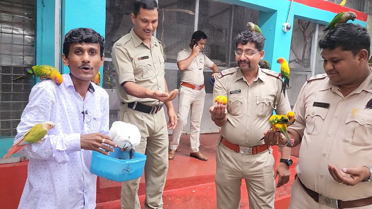 Protect Birds From Rain / All The Police Officers Were Very Happy.