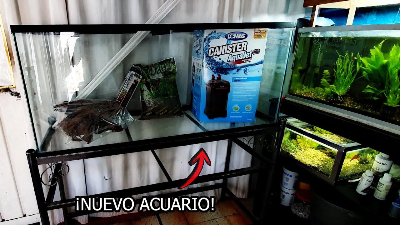 Compre NUEVO ACUARIO de 350 LITROS para PECES DISCO | AcuariosLP