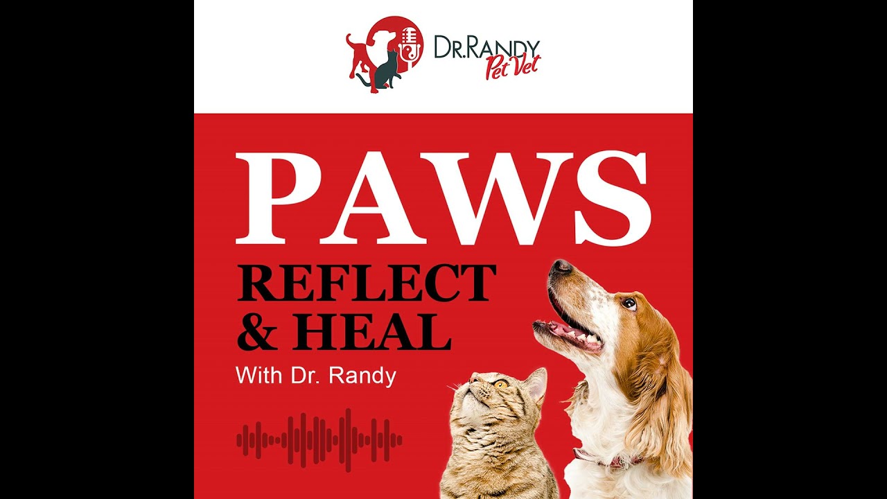 How Ozone Therapy Can Help Your Pet with Jonathan Lowe