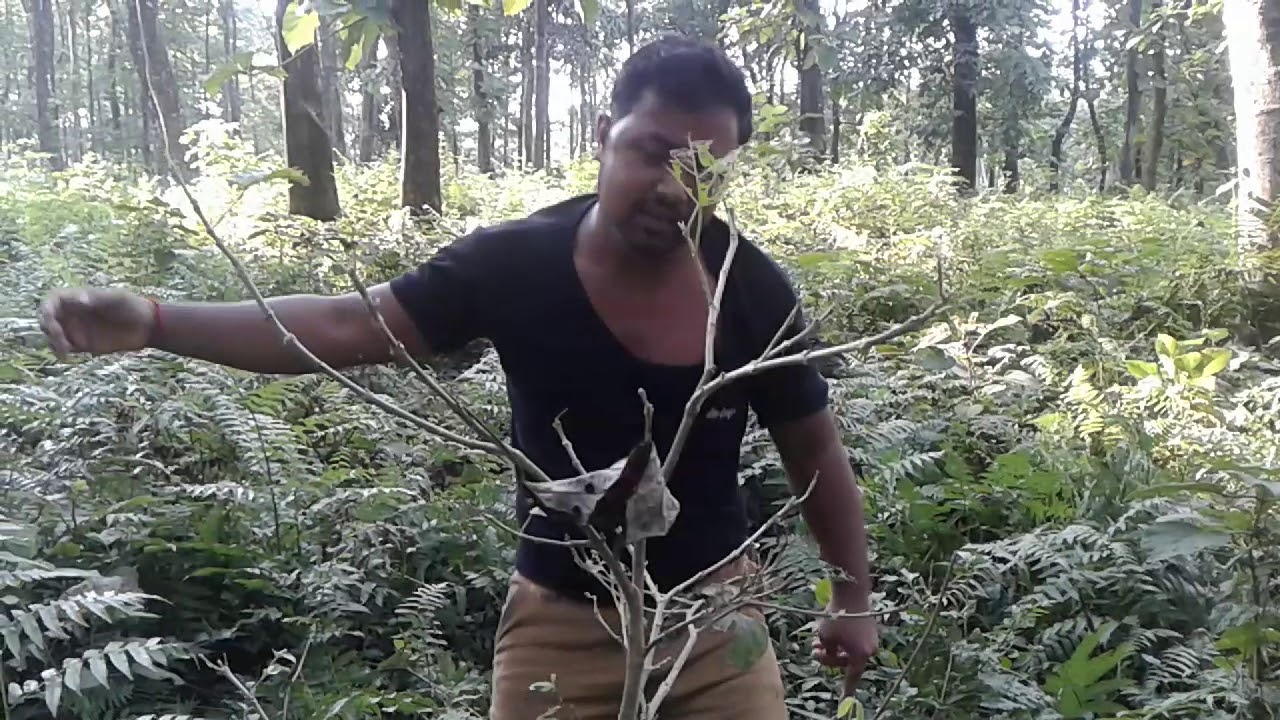 Rasikbill spot