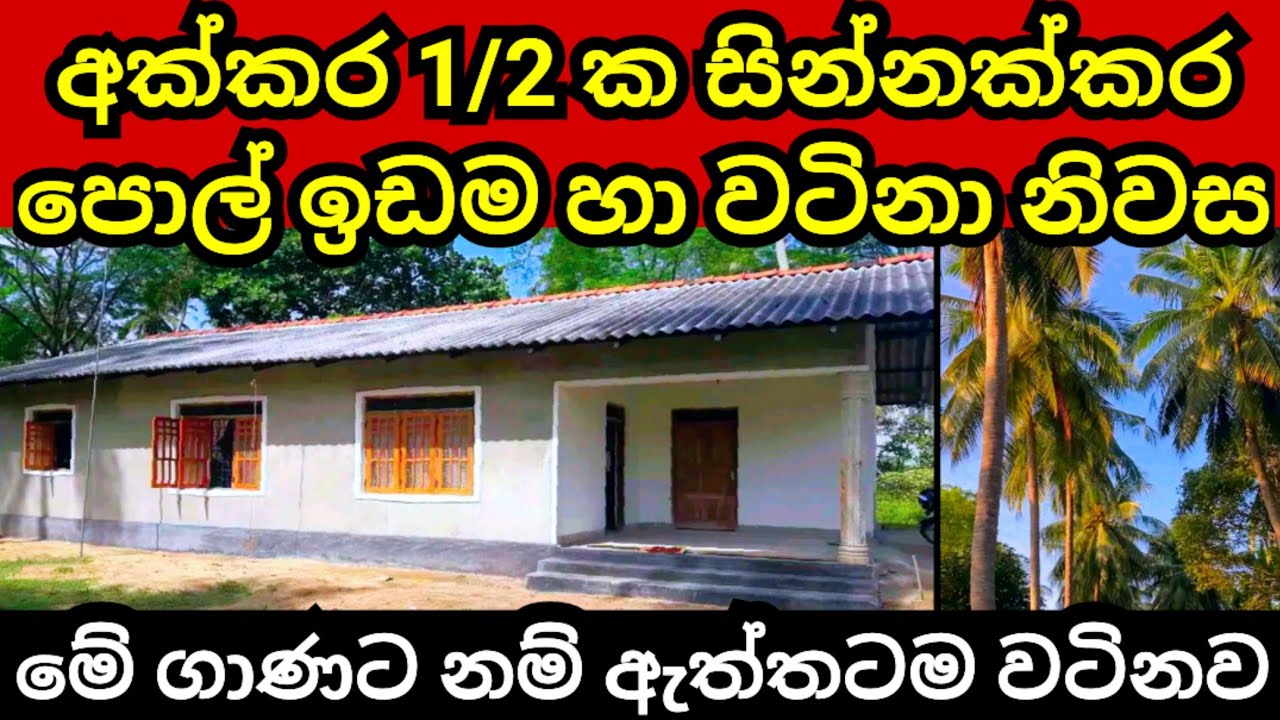 පර්චස් 80 ක පොල් ඉඩම හා නිවස ඉක්මණින් විකිණේ | Pol idam | Coconut land | Land for sale | House sale