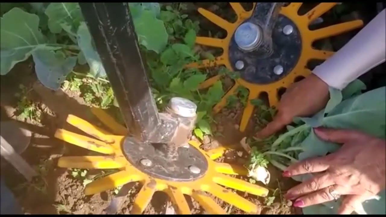 Cultivador Finger Weeder en semilleros. Agronexos