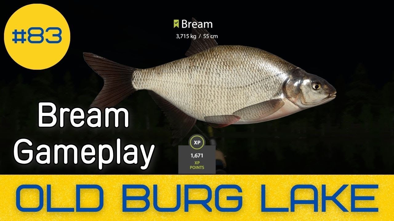 Russian Fishing 4 - Old Burg Lake - Bream Gameplay - #83