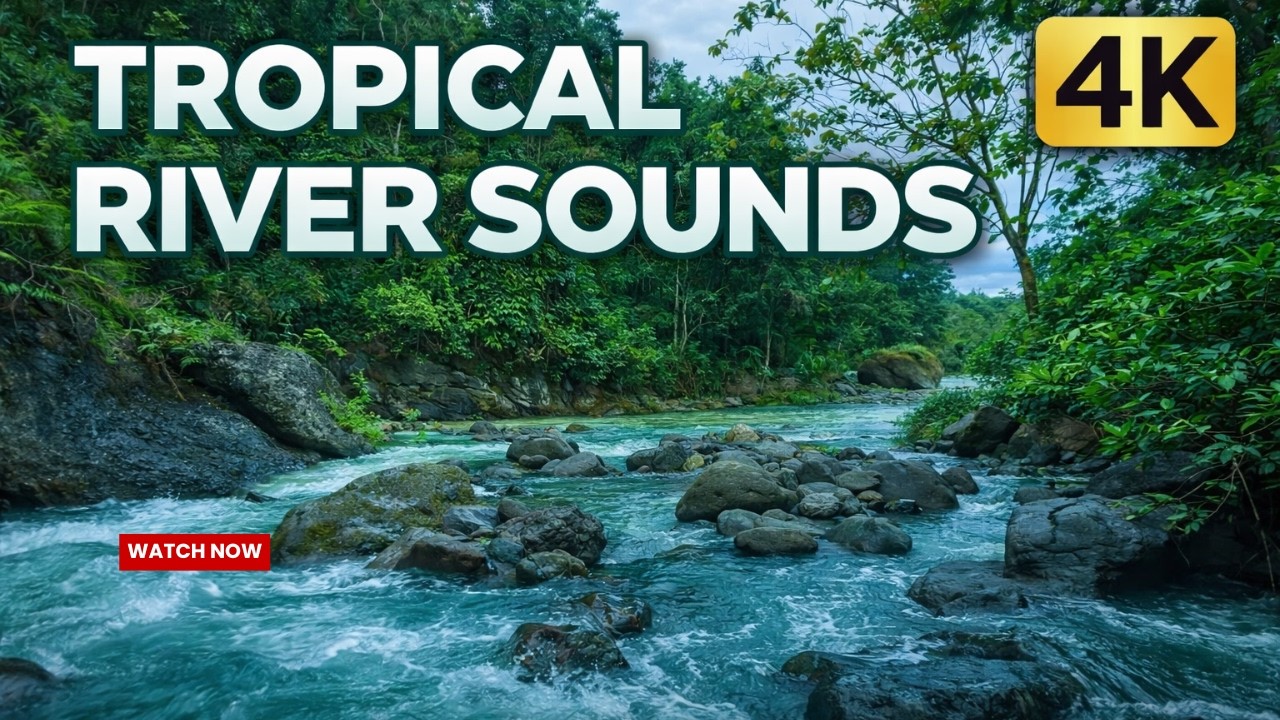 4K Tropical River Sounds 🌊 Deep Sleep in 5 Minutes | Instrumental Music Sounds for Relaxation