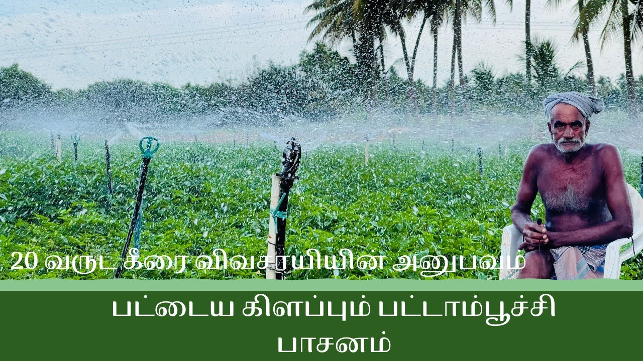 10வருட பட்டாம்பூச்சி விவசாயியுடன் உரையாடல் | Butterfly for greens Nambiyur | Tamilnad Irrigation