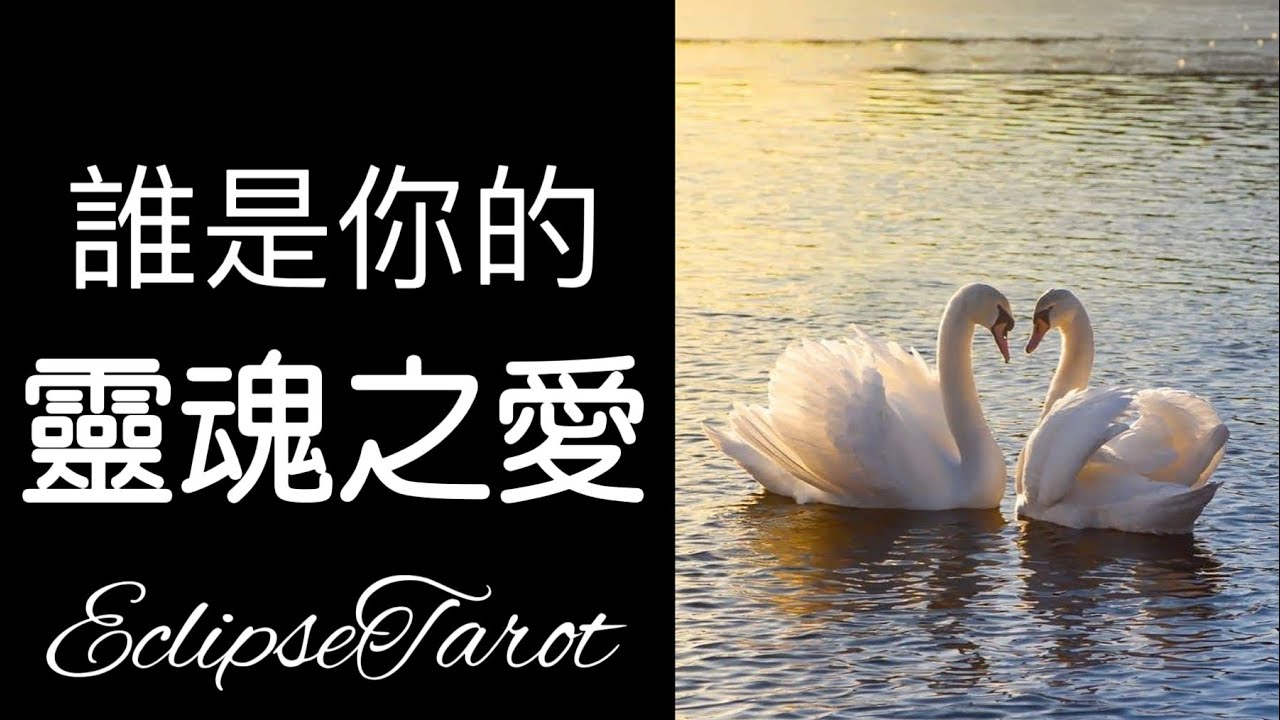 EclipseTarot ▪️▫️你的靈魂伴侶是誰？💕🦋他的性格特徵|外貌特徵|職業