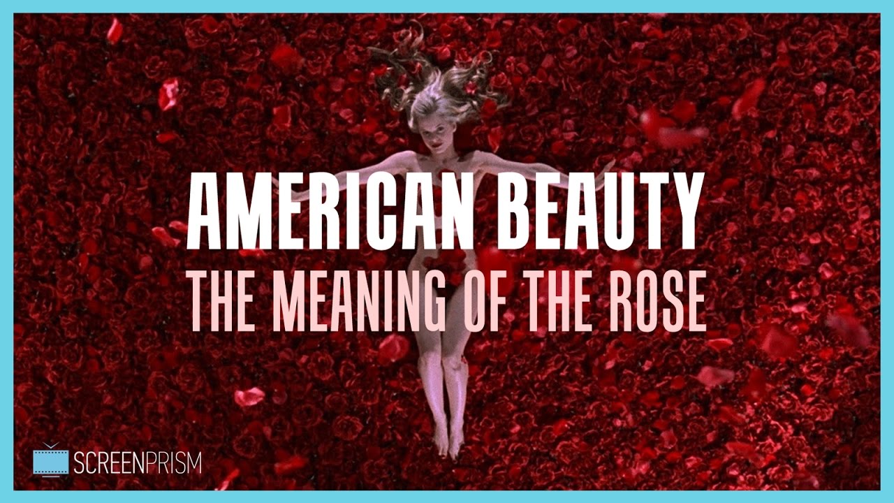 American Beauty: The Meaning of the Rose