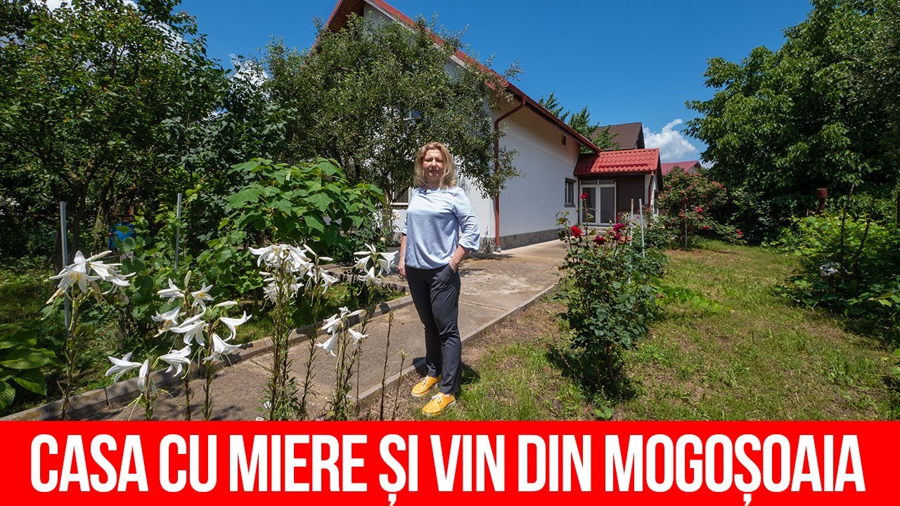 Casa cu miere și vin din Mogoșoaia #ad - CaseBune.ro