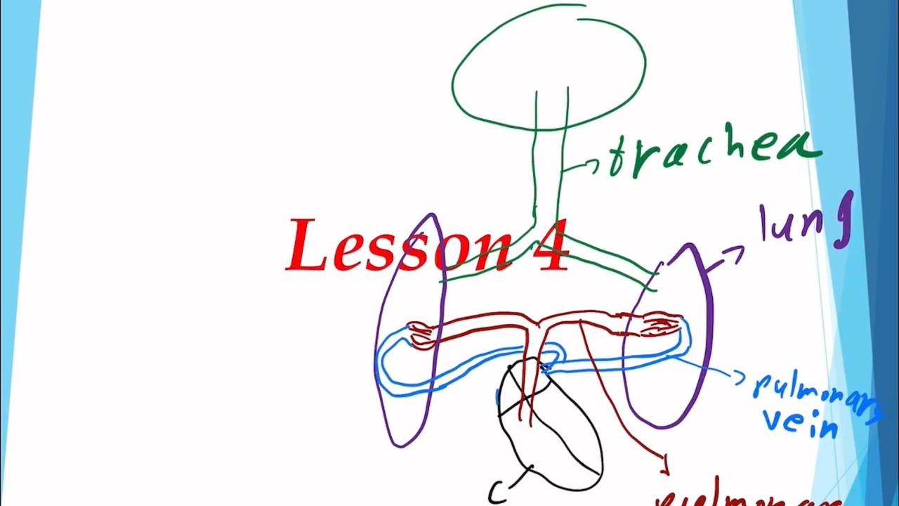 Lesson 4 | Chapter 9
