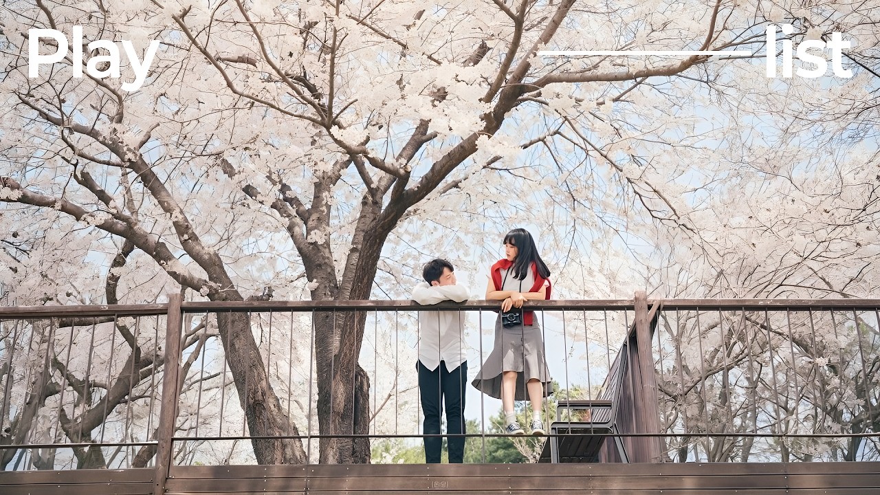 𝑝𝑙𝑎𝑦𝑙𝑖𝑠𝑡 버킷리스트: 첫사랑과 벚꽃 보기🌸│봄에 듣기 좋은 트렌디 달달 Pop