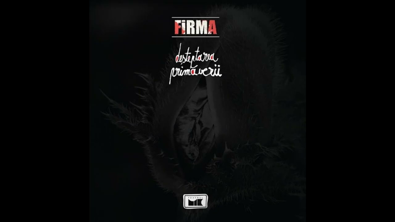 FiRMA - Lumea Mea