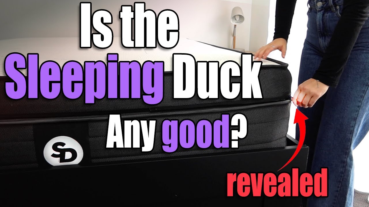 Sleeping Duck Review  - Which Version Should You Pick?