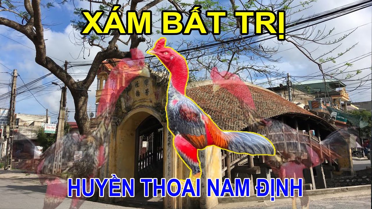 HUYỀN THOẠI XÁM BẤT TRỊ - NIỀM TỰ HÀO ĐẤT NAM ĐỊNH  || HIỂN TV