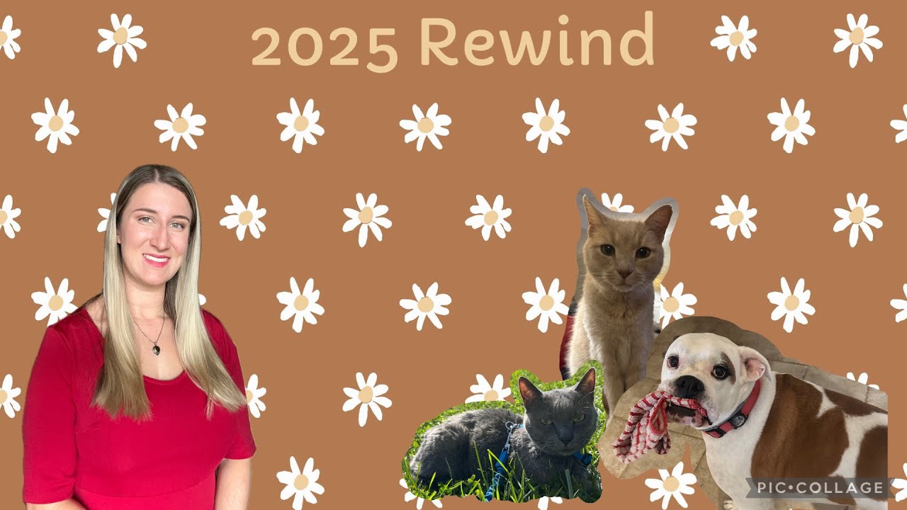 My 2025 Glow Up | My 2025 Rewind