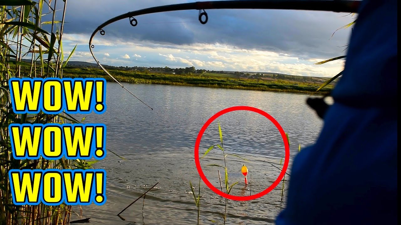PARTIDA NEBUNA CU STIUCI SI UN PESTE SURPRIZA