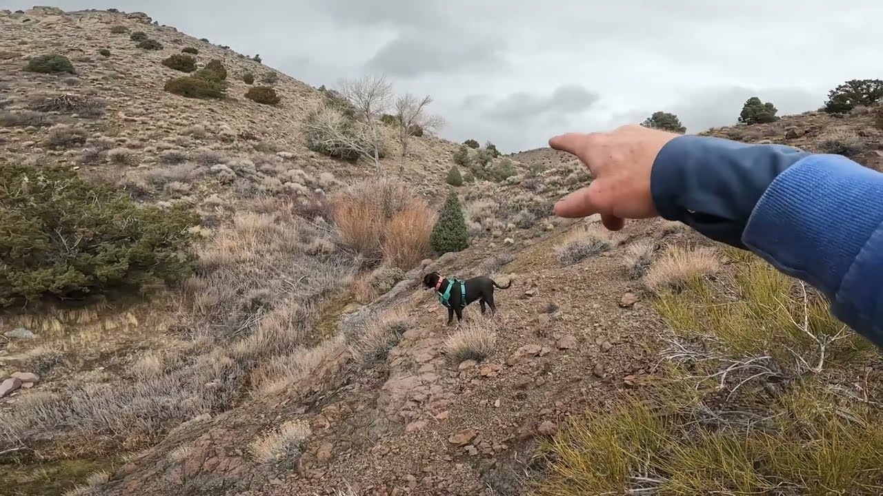 Cave find with my dog