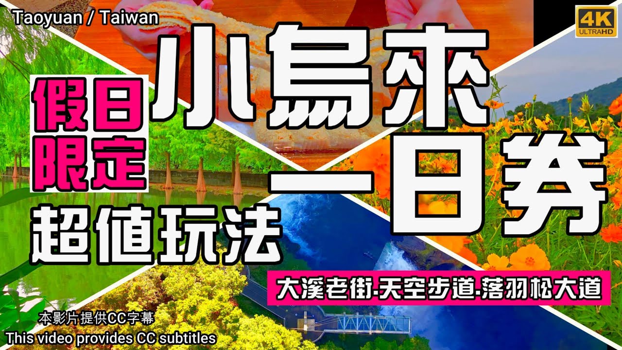 🌸小烏來線一日券＋UBike超值玩法大公開🎈不開車也能走透透｜月眉人工濕地落羽松｜小烏來天空步道｜全台最長的懸索式吊橋中庄吊橋｜大溪老街｜角板山｜蔡記麥芽花生糖｜柒美好行｜桃園景點｜桃園花彩節