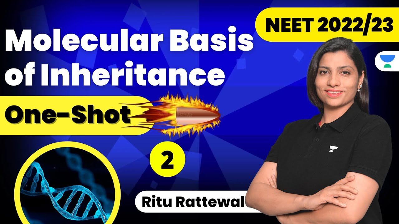 Phoenix 2.0: Biology Most Important Video for NEET 2025 | Udaan