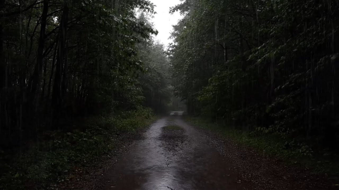 Rain Sounds For Sleeping - 99% Instantly Fall Asleep With Rain Sound on a Forest Path at Night