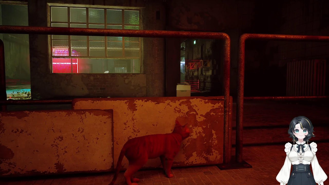*Meow Meow, Meow Meow Meow* - Rough Translation: 
