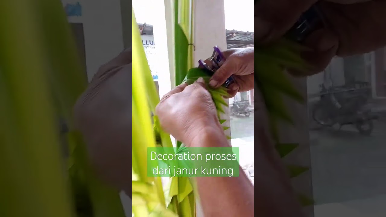 Decorasi dari daun kelapa  janur kuning simple #kerajinan#