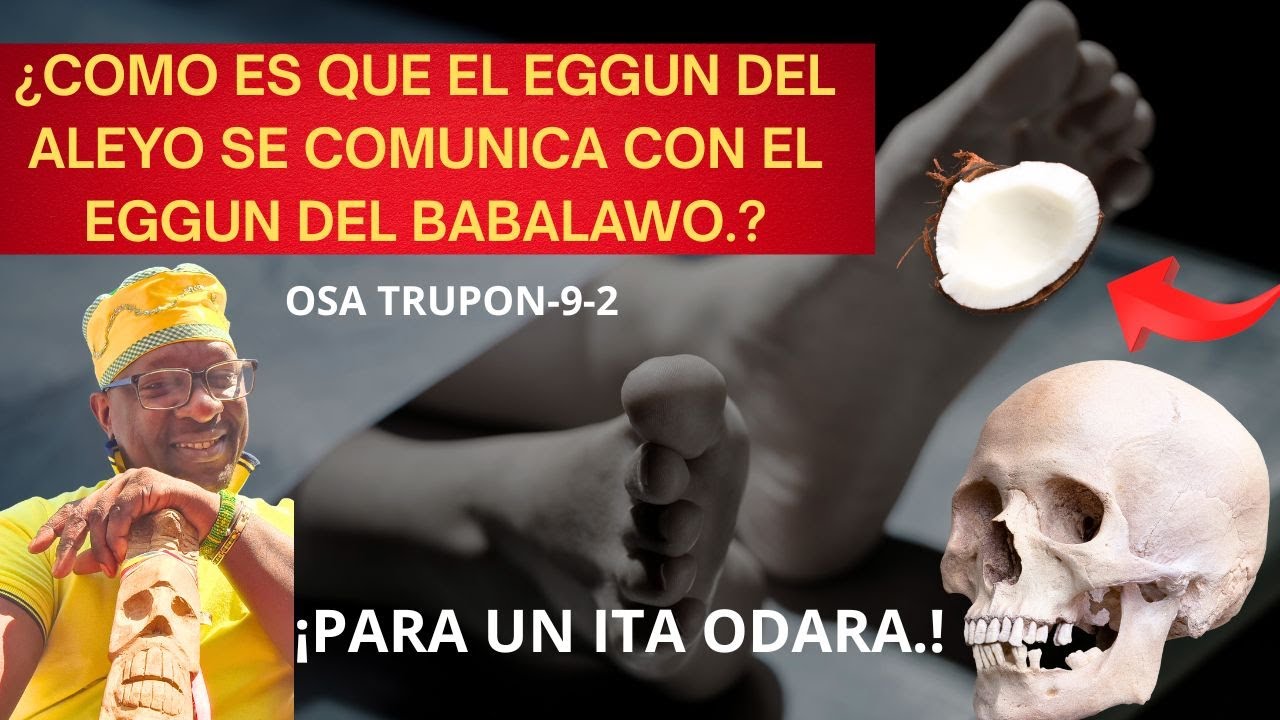 POR ACCIONES COMO EST&Agrave;..MUCHOS PIERDEN LA F&Eacute; EN IF&Aacute;...OSA TRUPON 9-2..(Importancia del obi(coco).