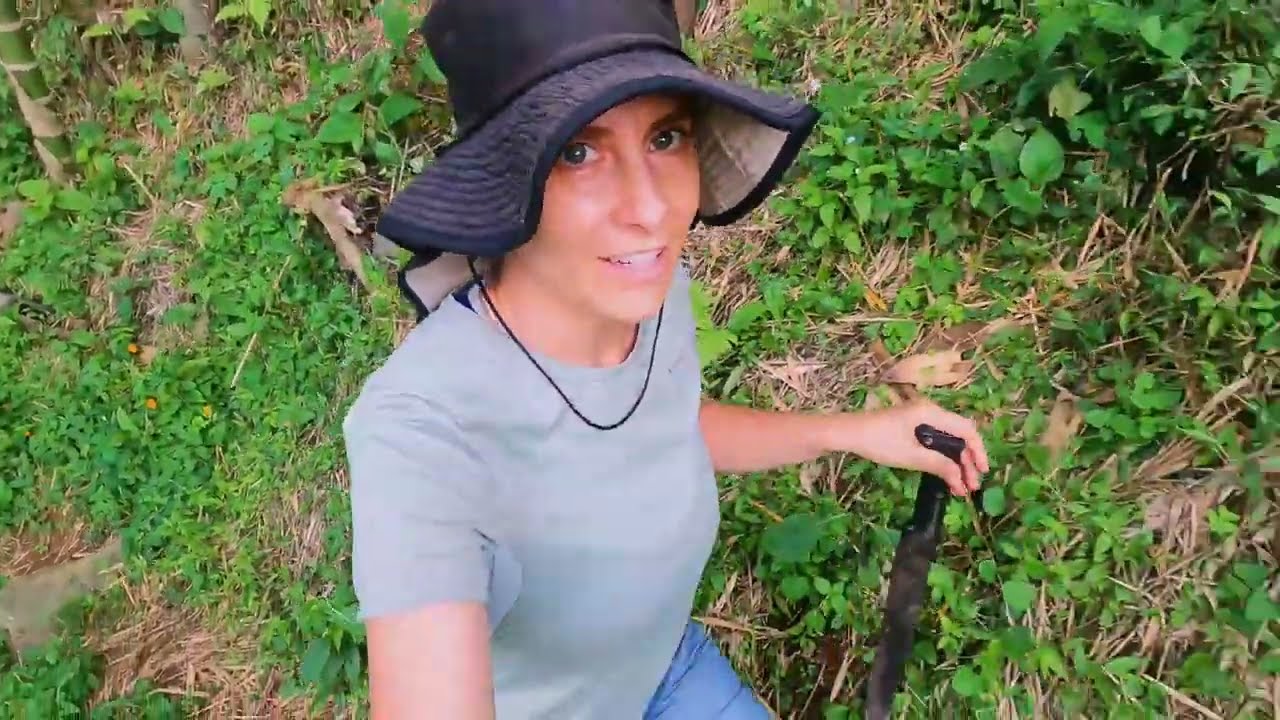 I Bought A Coffee Farm in Colombia | Tour of My Land