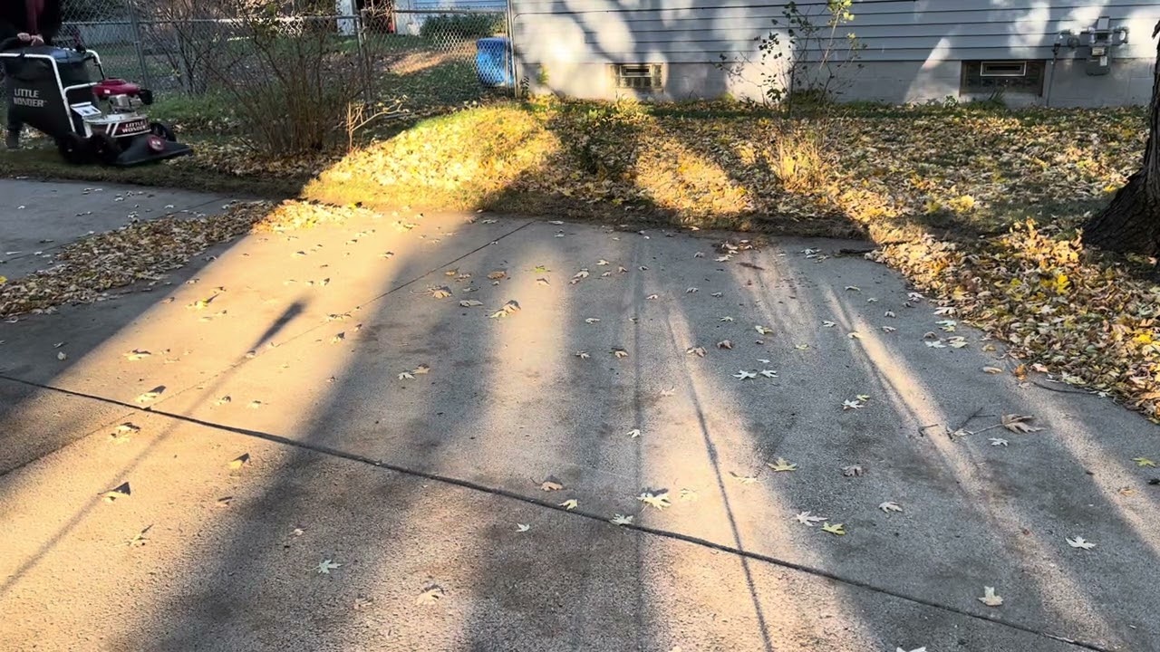 Little wonder SI quickly vacuuming some leaves 
