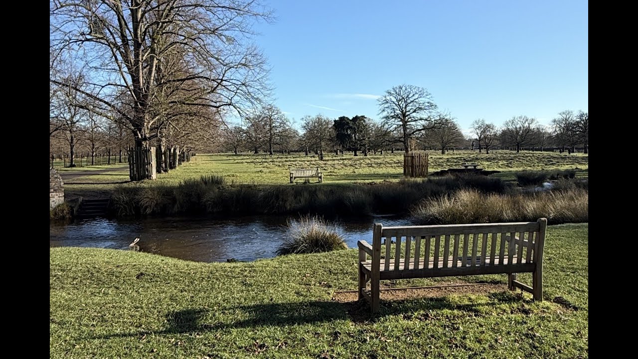 The Bench Remains | A Quiet Connection