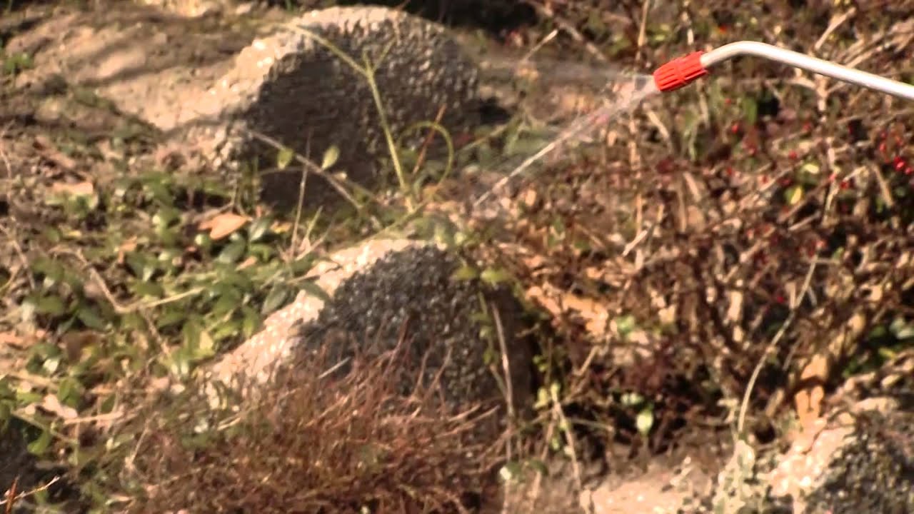 Lemos&oacute; permetez&eacute;s - Kertbar&aacute;tok - Kert&eacute;szeti TV - műsor