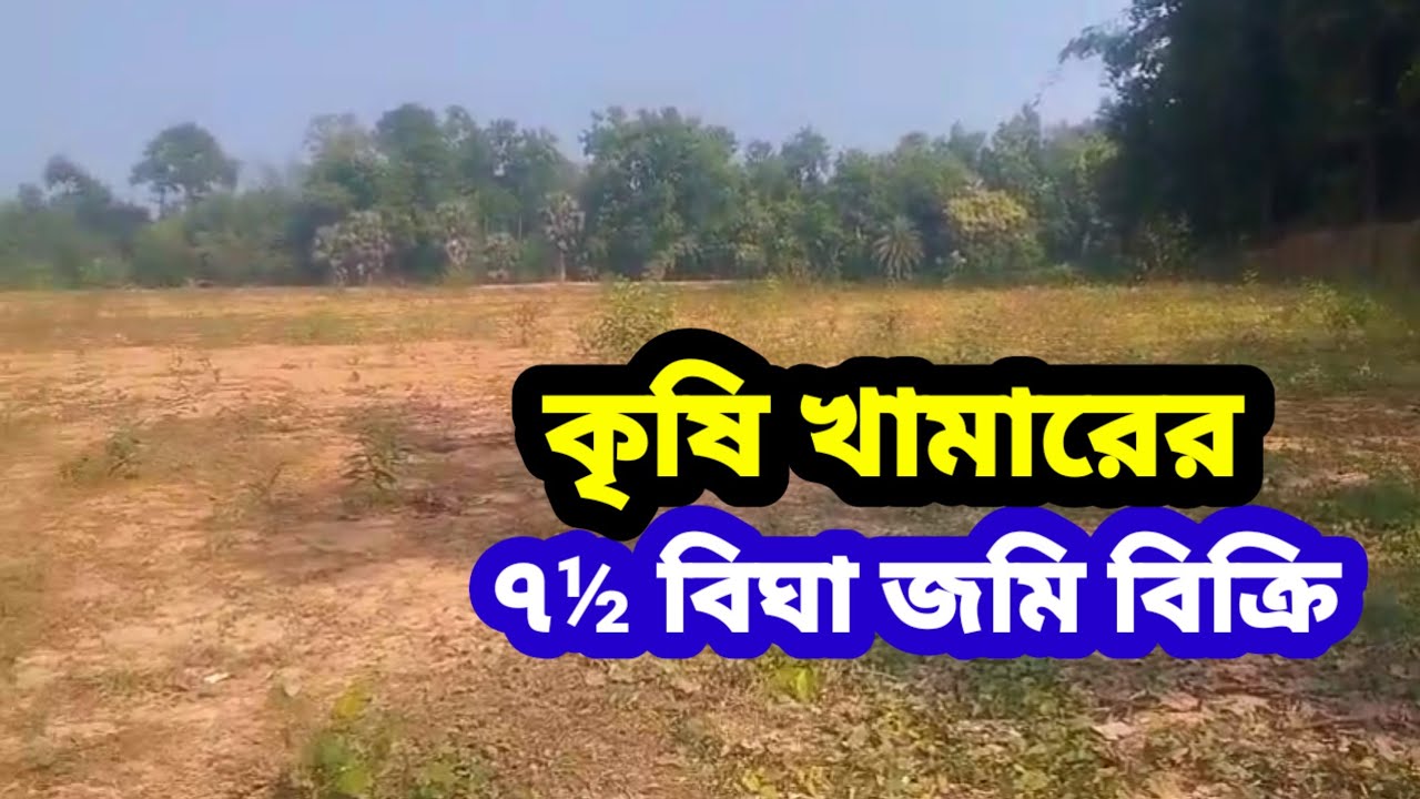 ৭&frac12; বিঘা সেরা কৃষি জমি বিক্রয় কাপাসিয়া গাজীপুর | Land sale Gazipur Dhaka | Impex Property 