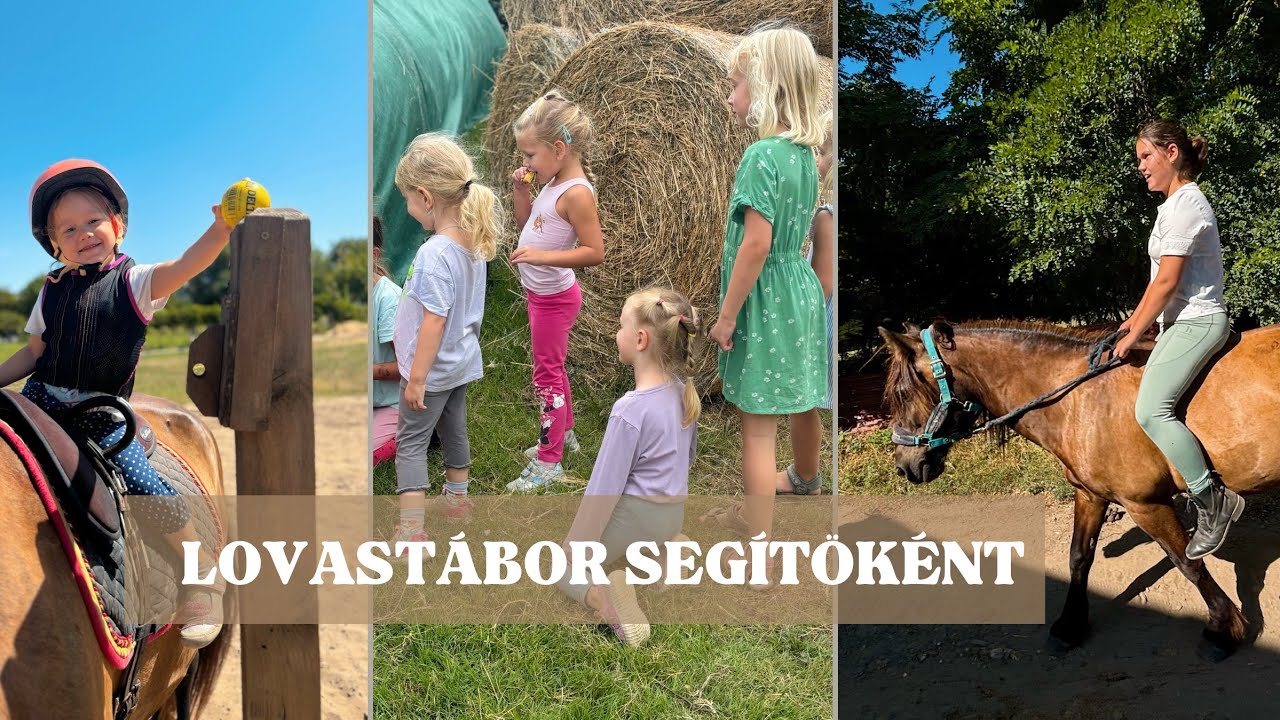 Lovastábor segítőként: Fáradtan, de mosolyogva🐴🤩