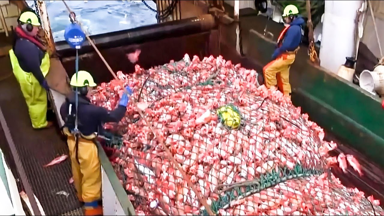 Life On Germany's Largest Deep-Sea Trawler