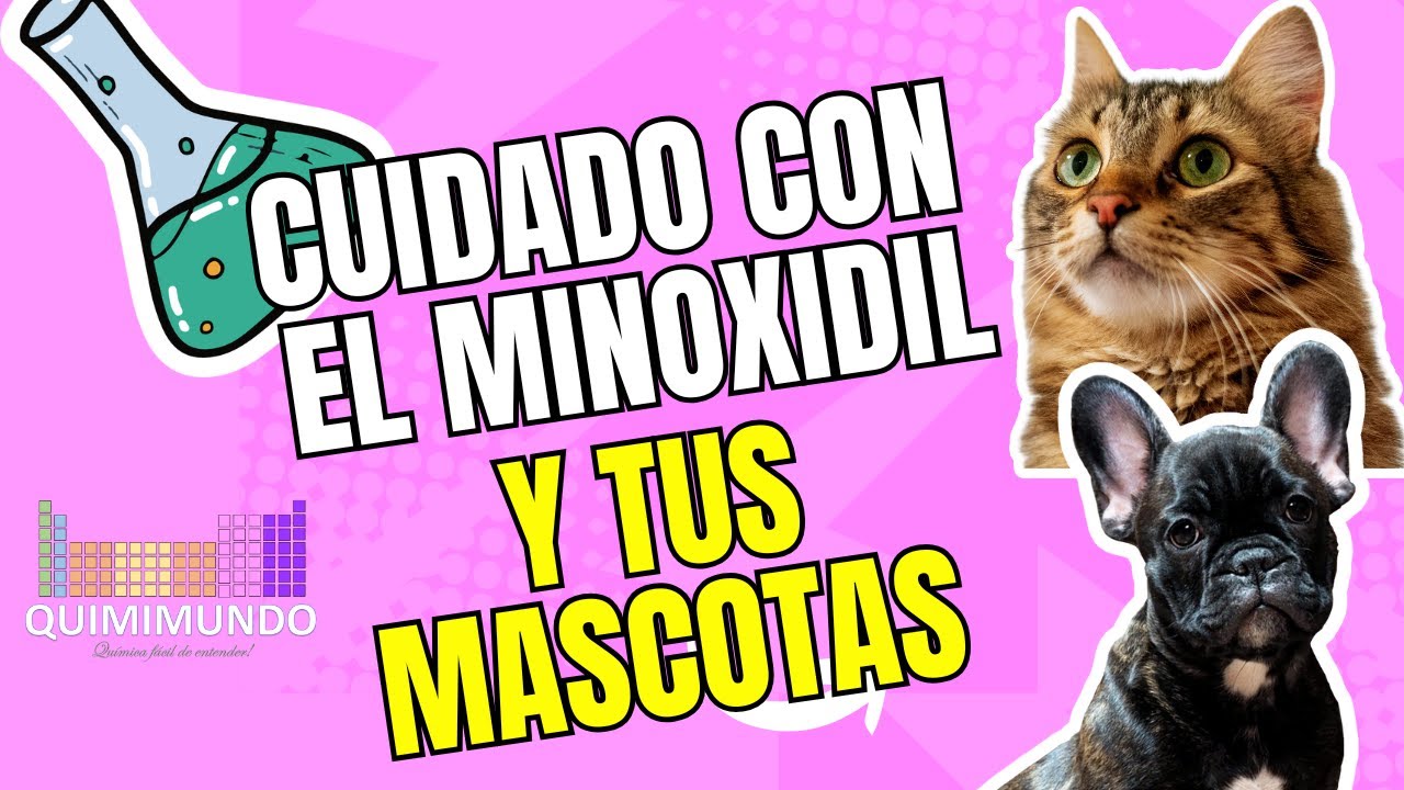 ¡¡¡Cuidado con el minoxidil y tus mascotas!!!
