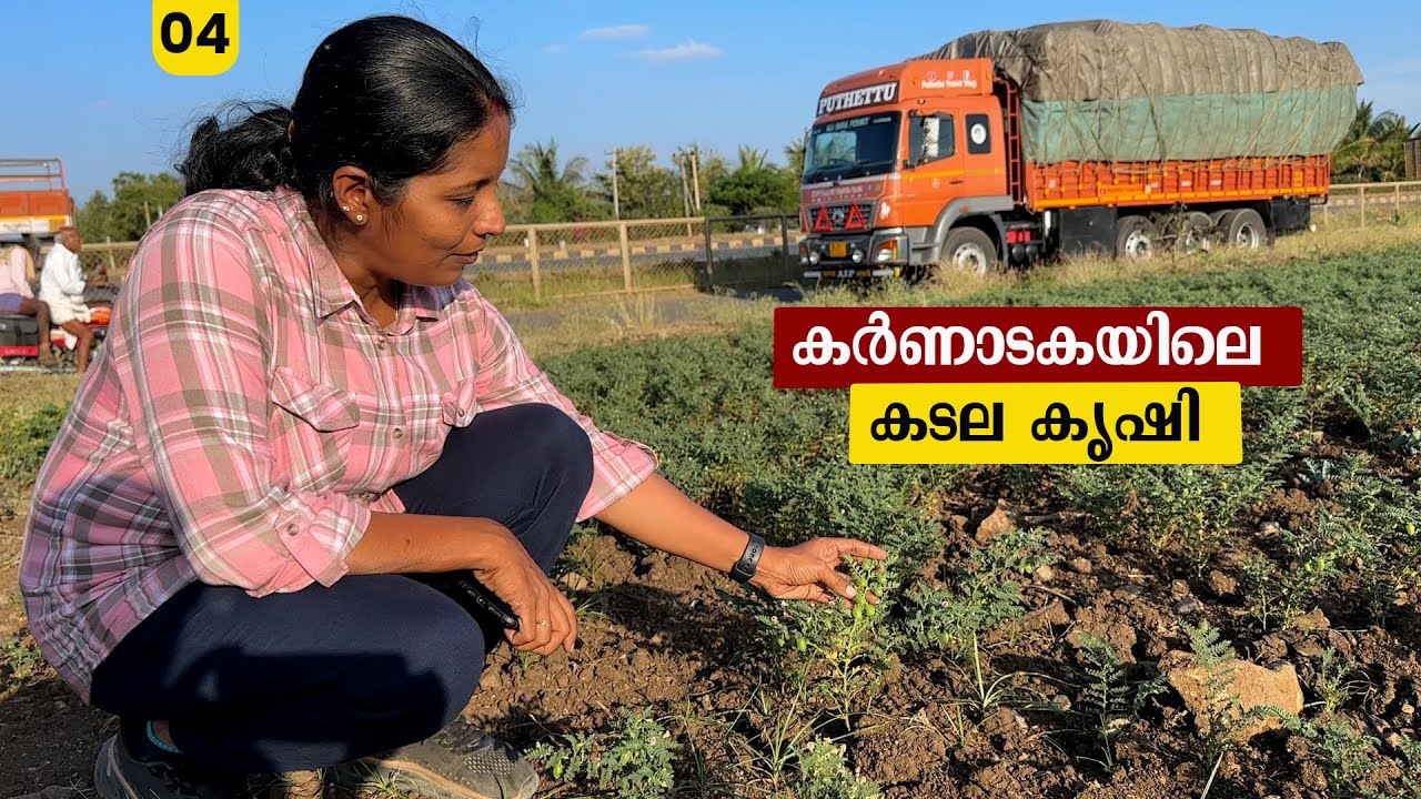 Fastag പണിതന്നപ്പോൾ|Rajasthan Trip| EP- 04| Jelaja Ratheesh| Puthettu Travel Vlog|