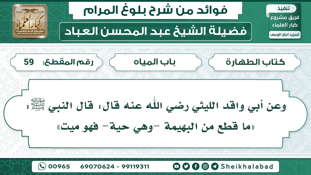 59   حديث ما قطع من البهيمة وهي حية فهو ميت   الشيخ عبد المحسن العباد