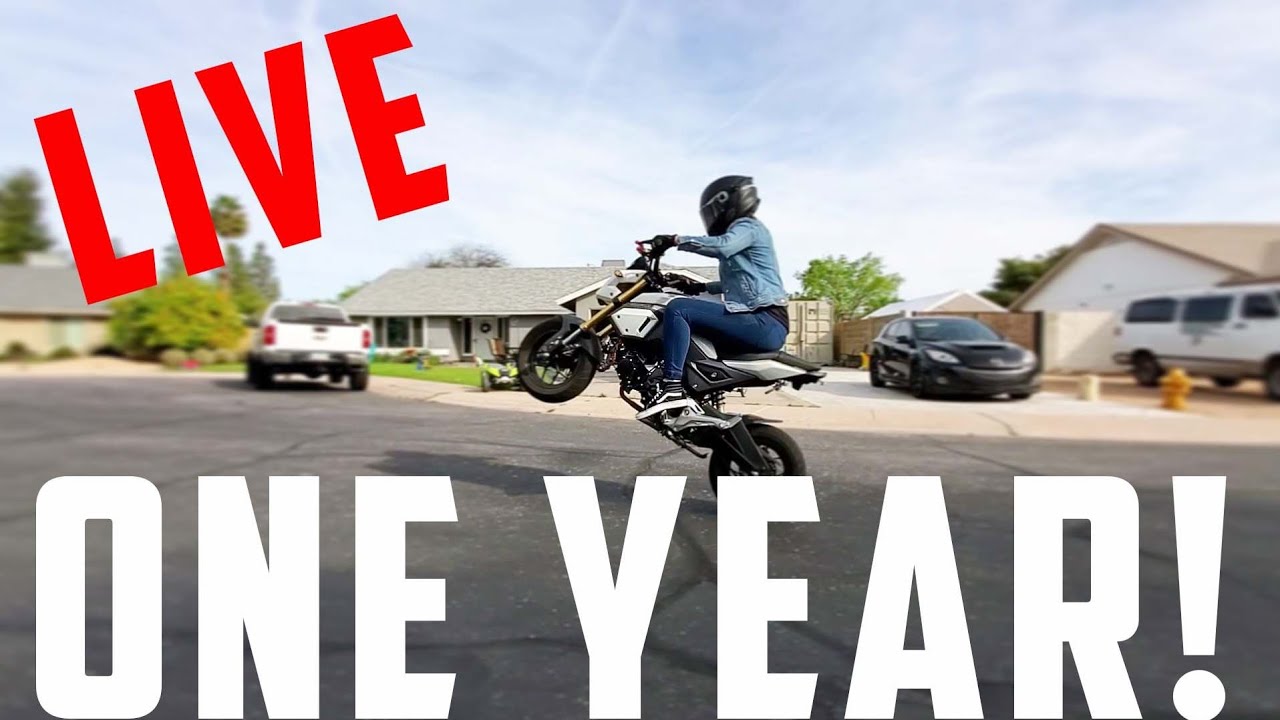 One Year Celebration LIVE!