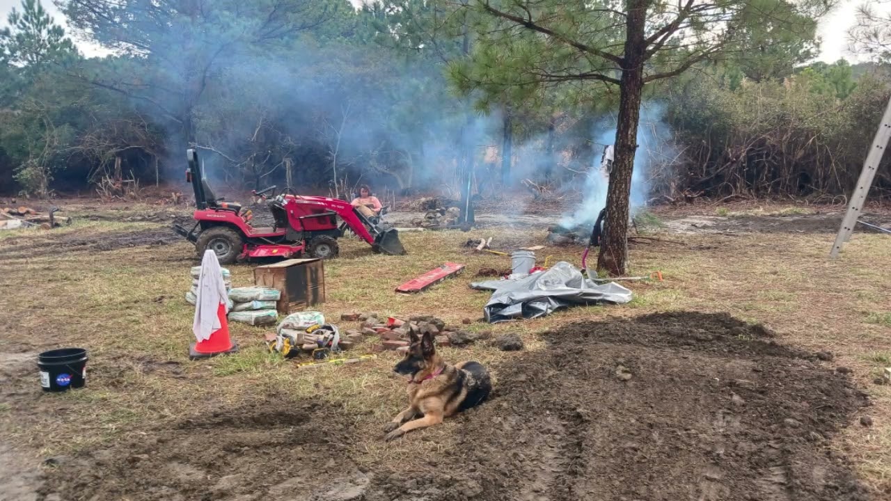 January 2026 - Life of the Dangerous Breed German Shepard SHEBA