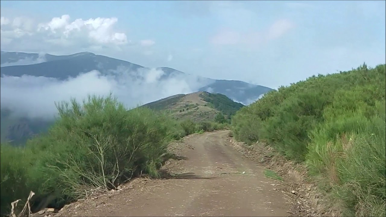 RAID 4X4 DEMANDA  N°5  GATON 2019
