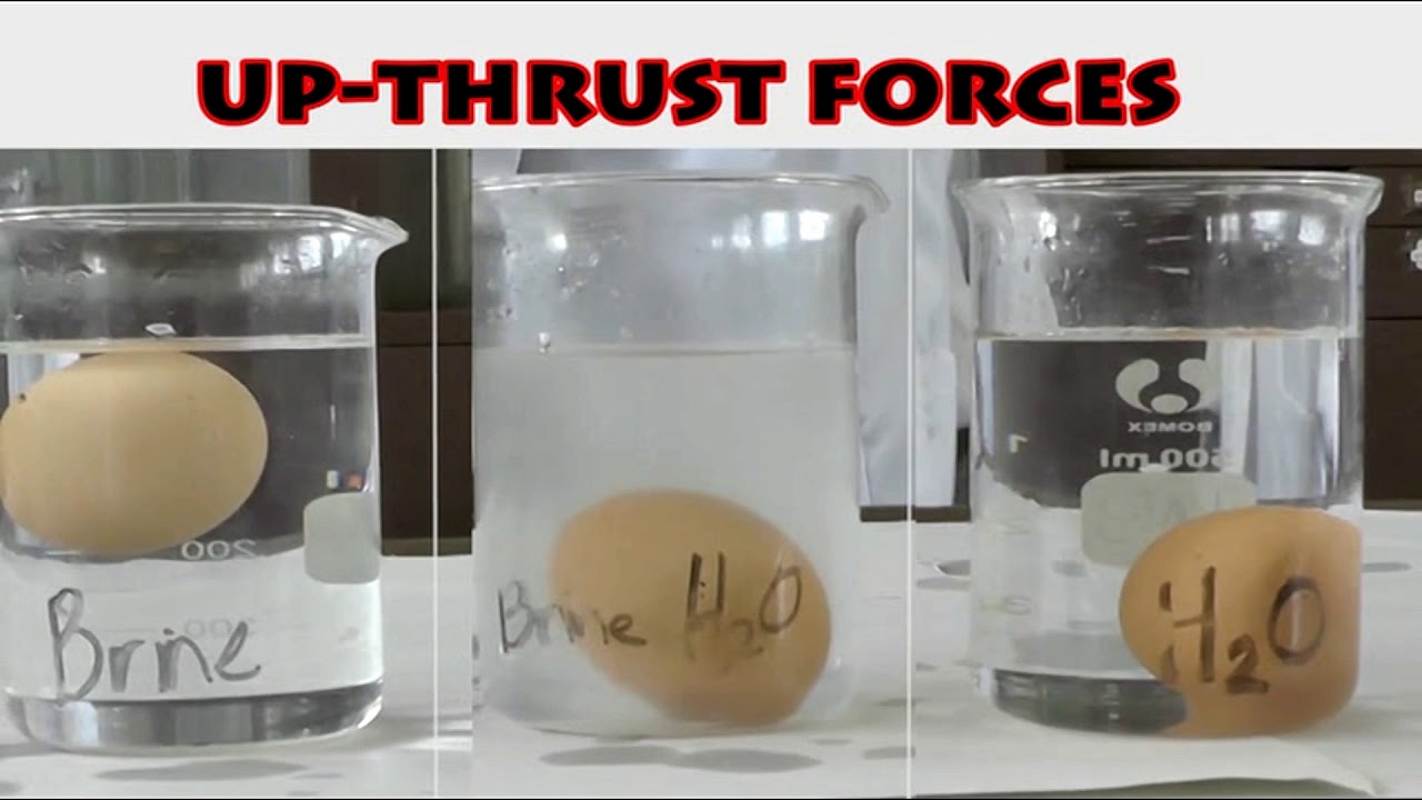 BSc UPTHRUST FORCE IN  LIQUIDS