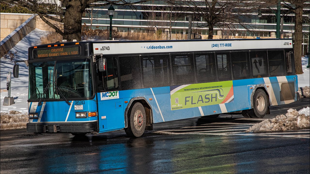 Blueberries to the Rescue Montgomery County Transit Ride On 2008 Low Floor Gillig Advantage Diesels 